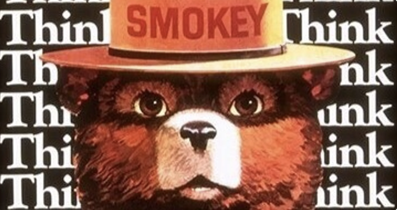 'Duck and Cover': The PSAs That Defined Generations